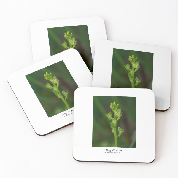 Item preview, Bog Orchid designed and sold by SteveEvansArt.