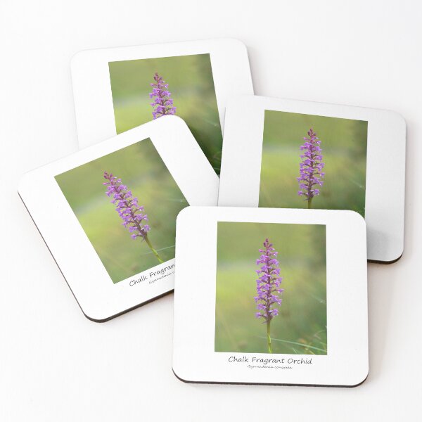 Item preview, Chalk Fragrant Orchid designed and sold by SteveEvansArt.