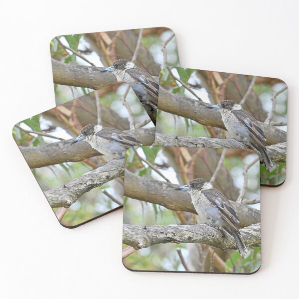 Item preview, Baby butcher bird designed and sold by Doug Cliff.