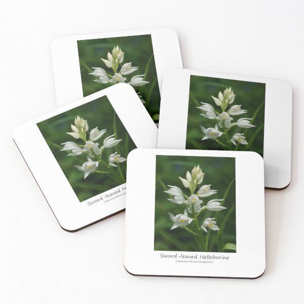 Item preview, Sword-leaved Helleborine designed and sold by SteveEvansArt.