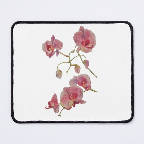 Item preview, Orchids, soft pastels drawn by Anna Pękalska-Bazan designed and sold by BazankiArt.