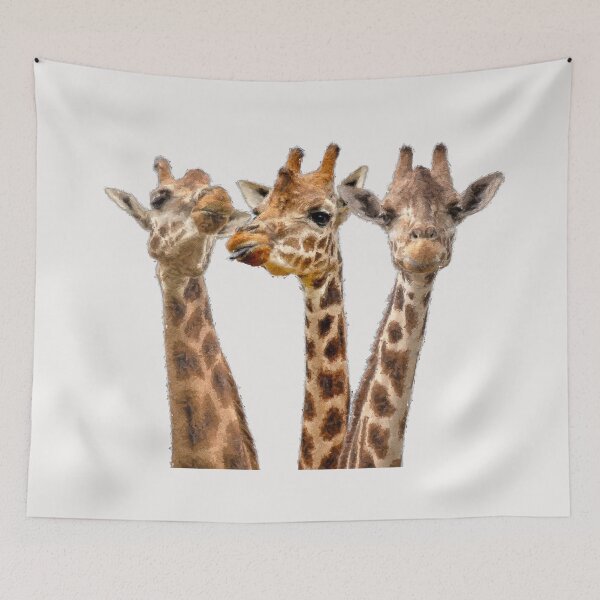 Item preview, 3 Cute Giraffe Friends - There is Elegance in Height designed and sold by Michael van der Hoorn.