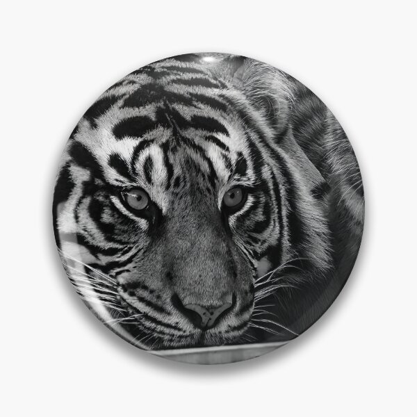 Item preview, Portrait of a Mother tiger with her cub  designed and sold by noblephoto.