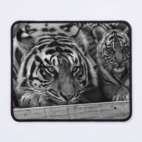 Item preview, Portrait of a Mother tiger with her cub  designed and sold by noblephoto.