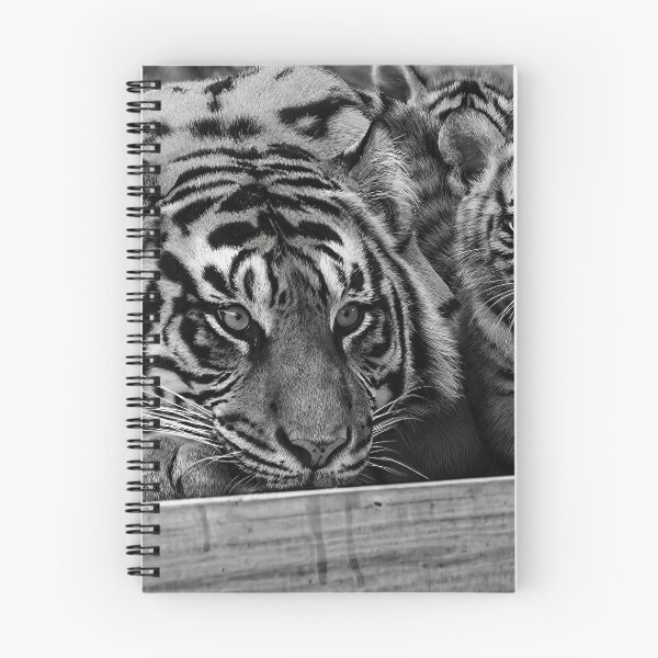 Item preview, Portrait of a Mother tiger with her cub  designed and sold by noblephoto.