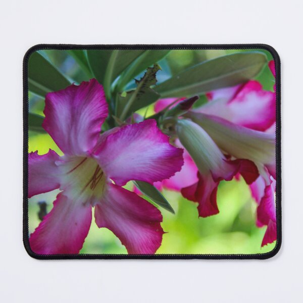 Item preview, conversation designed and sold by Micki Selvitella.