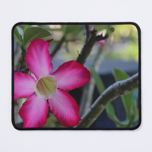 Item preview, tropical flower designed and sold by Micki Selvitella.