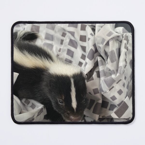 Item preview, Baby Skunk designed and sold by TammyRaybould.