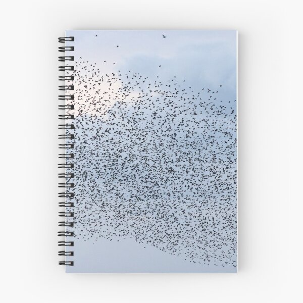 Item preview, Starling rush hour designed and sold by GreyFeatherPhot.