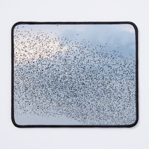Item preview, Starling rush hour designed and sold by GreyFeatherPhot.