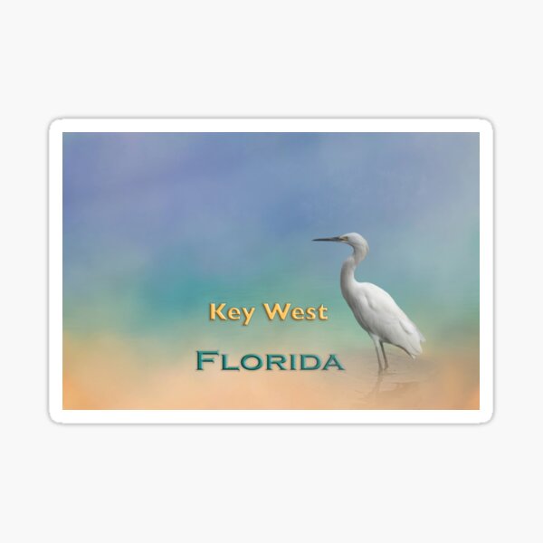Item preview, Egret Key West FL designed and sold by Elisabeth Lucas.