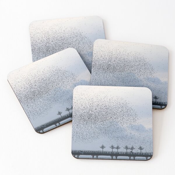 Item preview, Starling waves designed and sold by GreyFeatherPhot.
