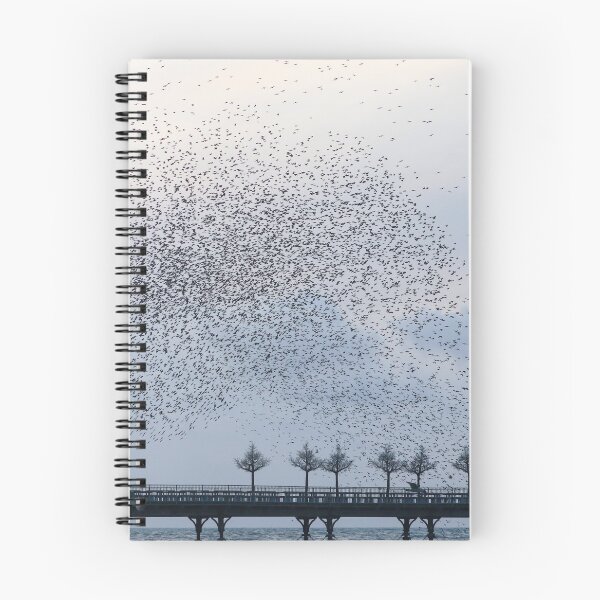 Item preview, Starling waves designed and sold by GreyFeatherPhot.