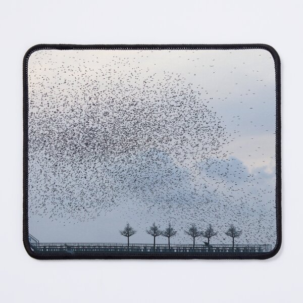 Item preview, Starling waves designed and sold by GreyFeatherPhot.