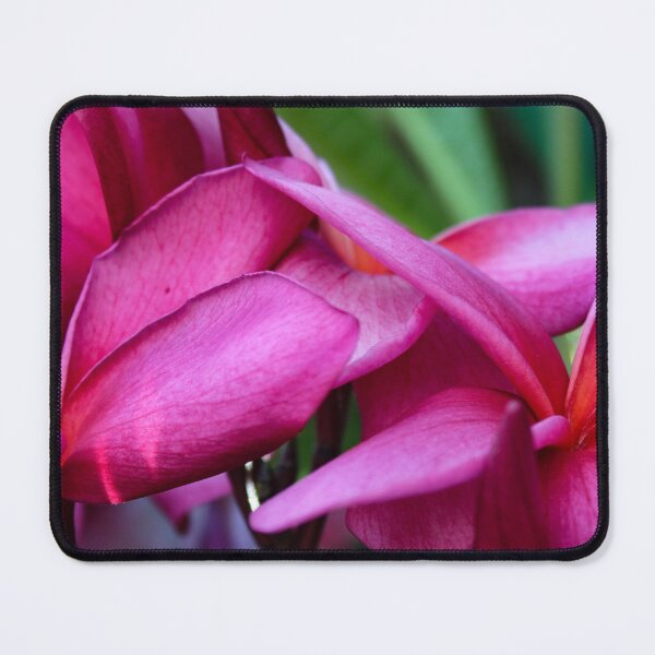 Item preview, plumeria close up designed and sold by Micki Selvitella.