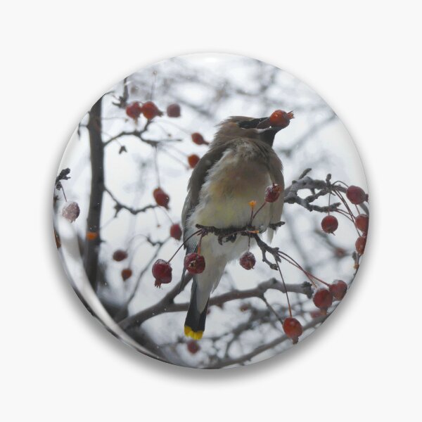 Item preview, Cedar waxwing designed and sold by OvenSpud-C.
