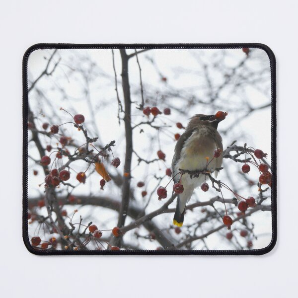 Item preview, Cedar waxwing designed and sold by OvenSpud-C.
