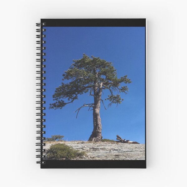 Item preview, Lone Tree designed and sold by Micki Selvitella.