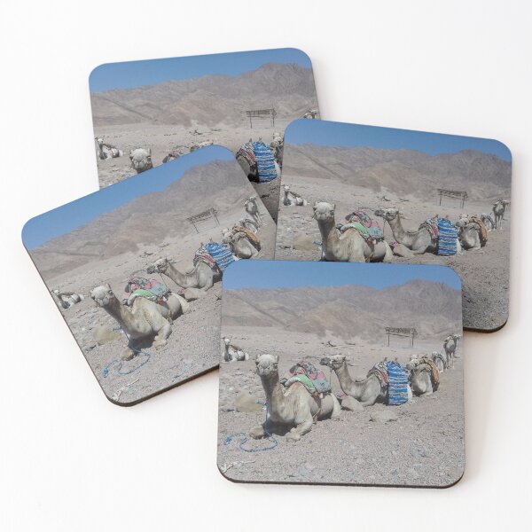 Item preview, Camels are opposite a hill in Dahab, Egypt designed and sold by Osama-Hamdi.