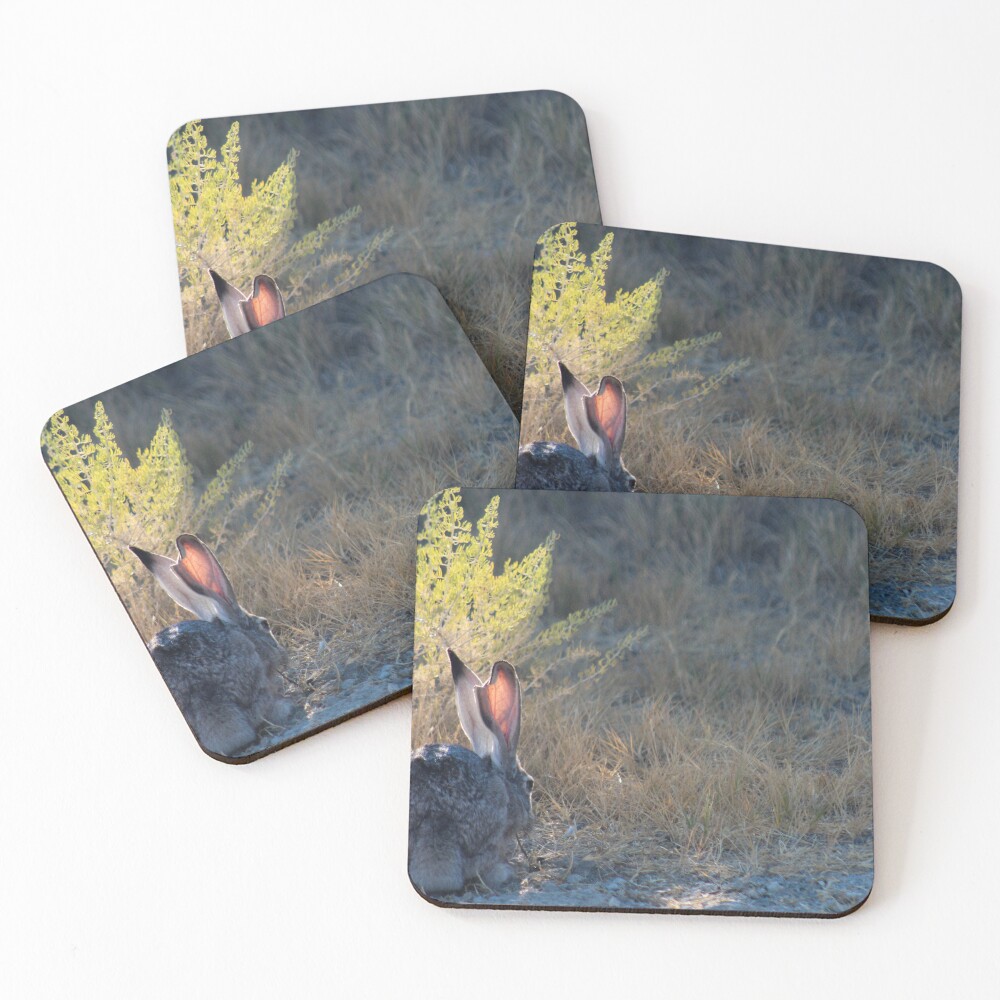 Item preview, Coasters (Set of 4) designed and sold by mickiselvitella.