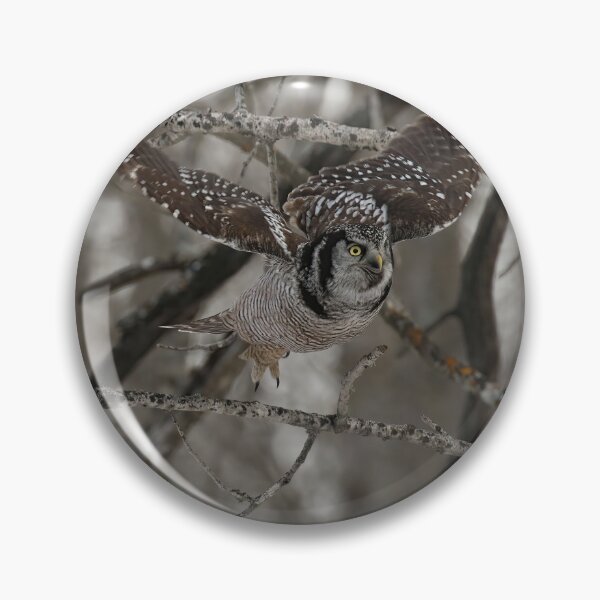 Item preview, Hawk Owl Hunting designed and sold by locustgirl.