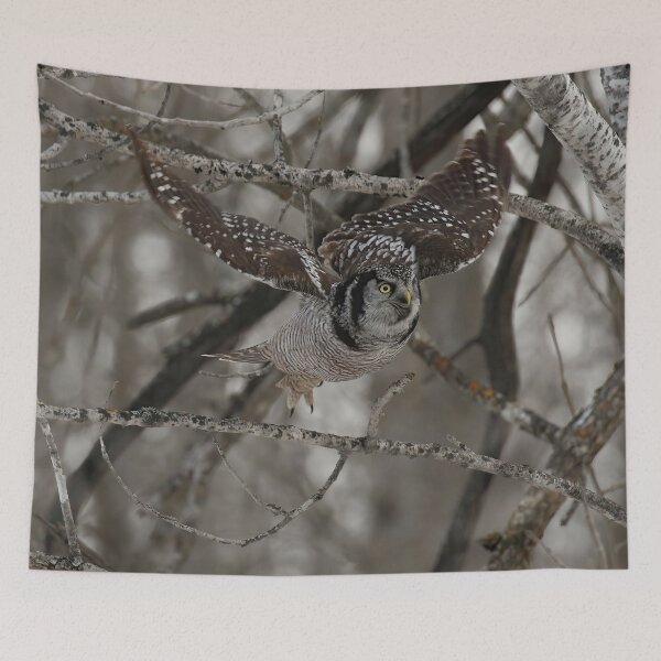 Item preview, Hawk Owl Hunting designed and sold by locustgirl.