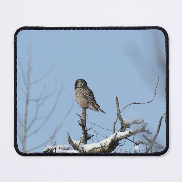Item preview, Hawk Owl Totem designed and sold by locustgirl.