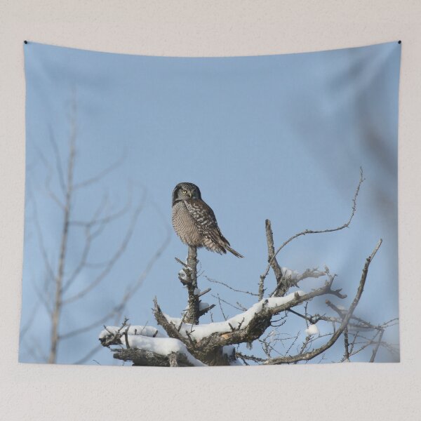 Item preview, Hawk Owl Totem designed and sold by locustgirl.