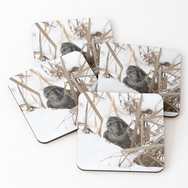 Item preview, Hunting Hawk Owl designed and sold by locustgirl.