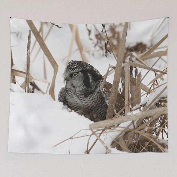 Item preview, Hunting Hawk Owl designed and sold by locustgirl.