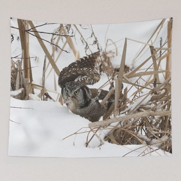 Item preview, Hawk Owl with Prey designed and sold by locustgirl.