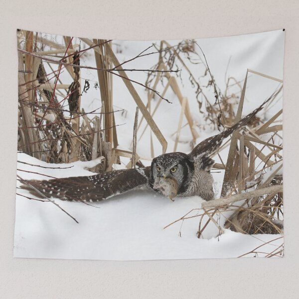 Item preview, Hawk owl hunter designed and sold by locustgirl.