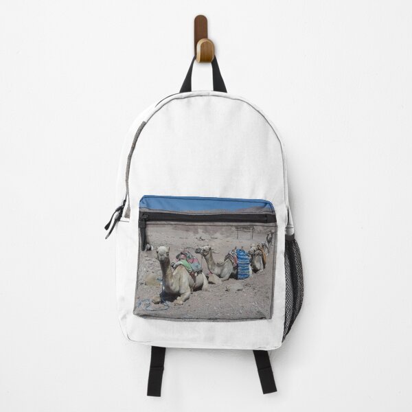 Item preview, Camels are opposite a hill in Dahab, Egypt designed and sold by Osama-Hamdi.