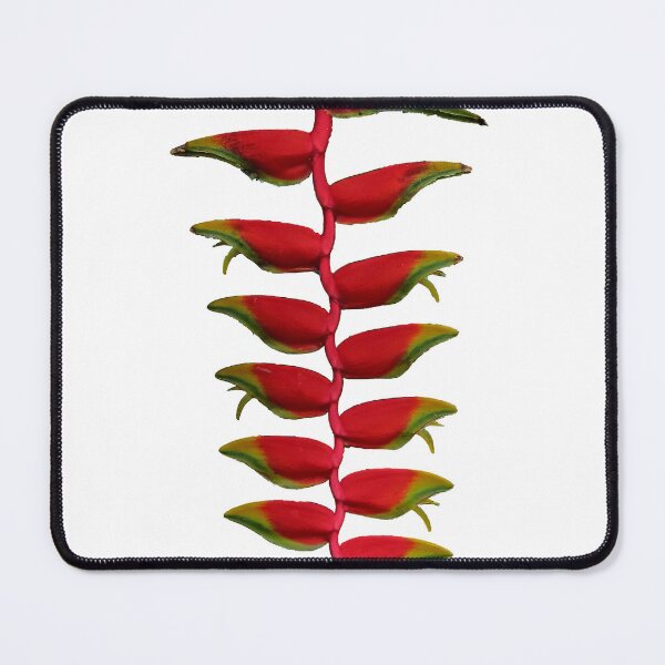 Item preview, Heliconia Rostrata flower designed and sold by Cars around Adelaide.