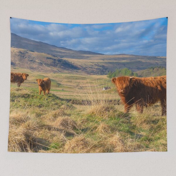Item preview, Highland Cows On The Field designed and sold by TheAnimalZ00.
