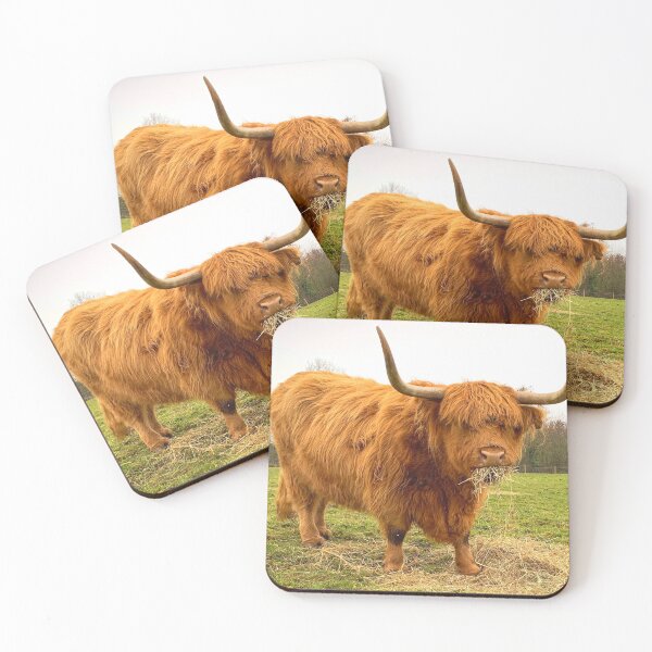 Item preview, Scottish Highland Cow Picture designed and sold by TheAnimalZ00.