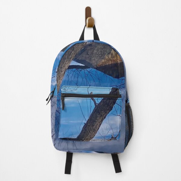 Item preview, Cool December reflection  designed and sold by Susan Gallup.