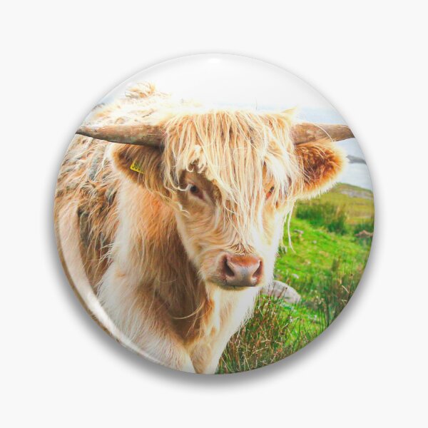 Item preview, White Highland Cow  designed and sold by TheAnimalZ00.