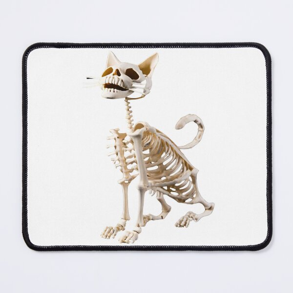 Item preview, Smiling cat skeleton, full body, black background, looking up designed and sold by 9blueart.