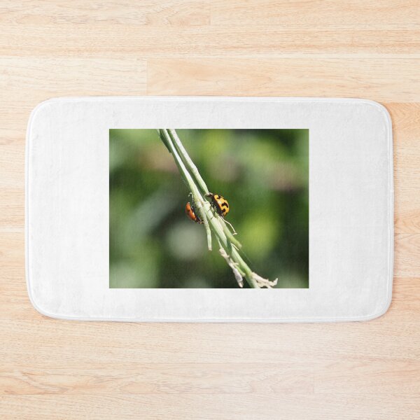 Item preview, Pleased To Meet You - Ladybird Beetles - Spots and Squiggles designed and sold by Linda Simpson.