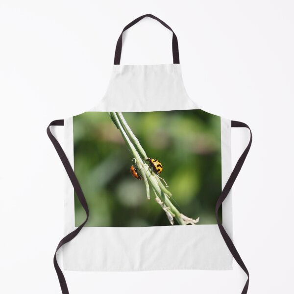 Item preview, Pleased To Meet You - Ladybird Beetles - Spots and Squiggles designed and sold by Linda Simpson.