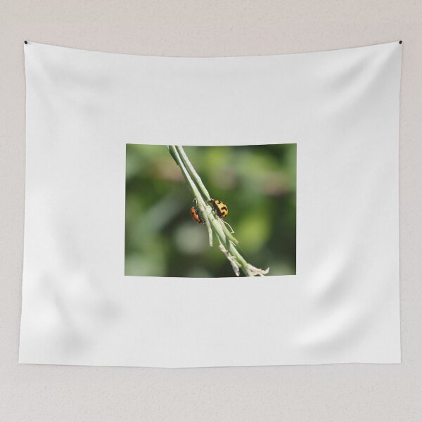 Item preview, Pleased To Meet You - Ladybird Beetles - Spots and Squiggles designed and sold by Linda Simpson.