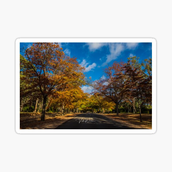Item preview, Honour Avenue, Mount Macedon, Victoria, Australia. designed and sold by Vicki Walsh.