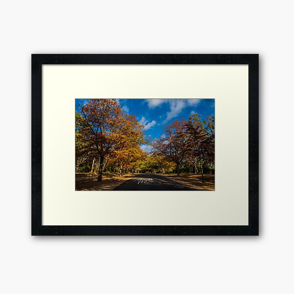Item preview, Honour Avenue, Mount Macedon, Victoria, Australia. designed and sold by Vicki Walsh.