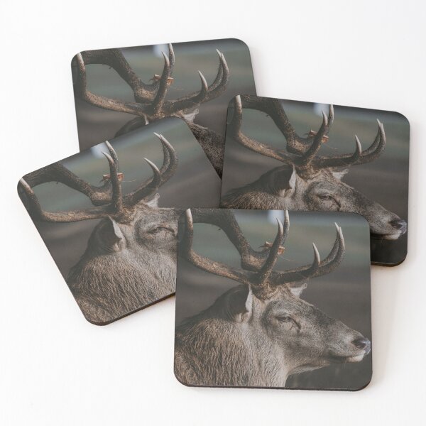 Item preview, Deer designed and sold by photobytableau.