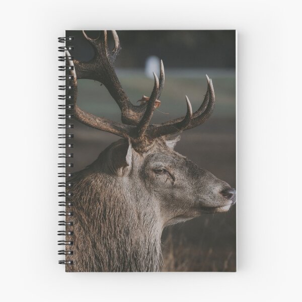 Item preview, Deer designed and sold by photobytableau.