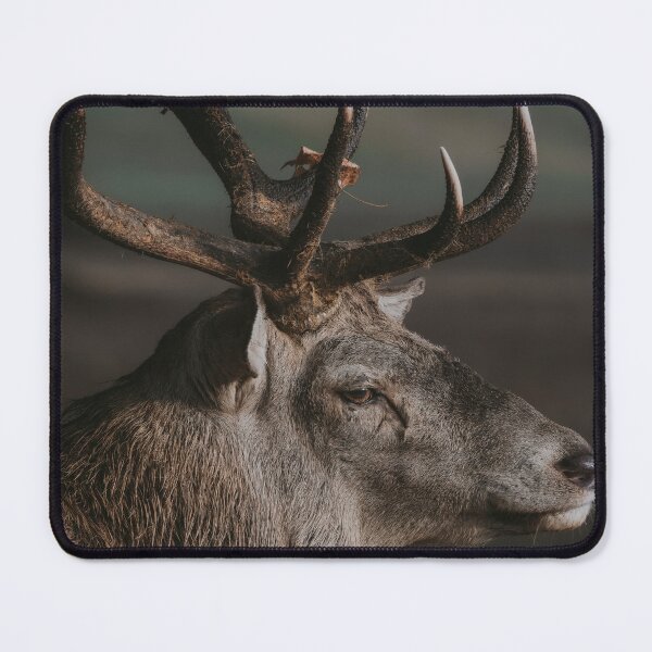 Item preview, Deer designed and sold by photobytableau.