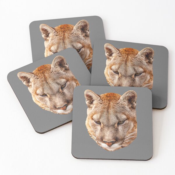 Item preview, Mountain Lion or Panther designed and sold by Dalyndigital Photography.