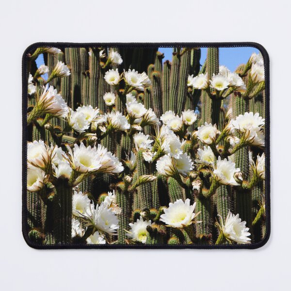 Item preview, Among The Cactus Flowers designed and sold by VMKPhotography.