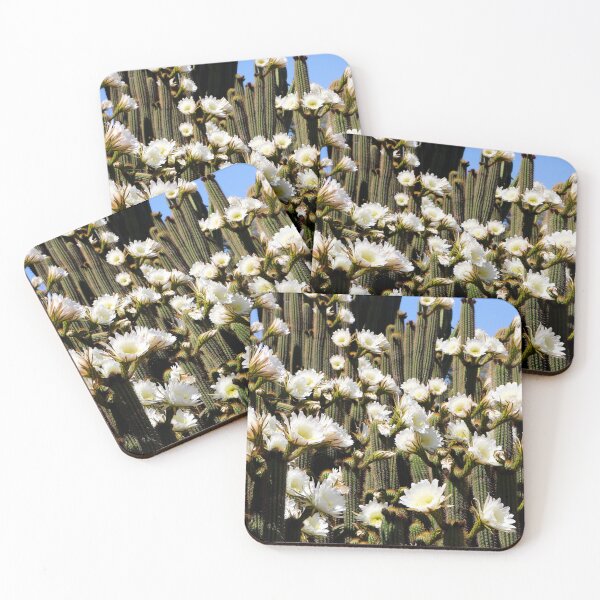 Item preview, Among The Cactus Flowers designed and sold by VMKPhotography.